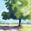 Chestnut Tree in Bushy Park. Drawing available. 